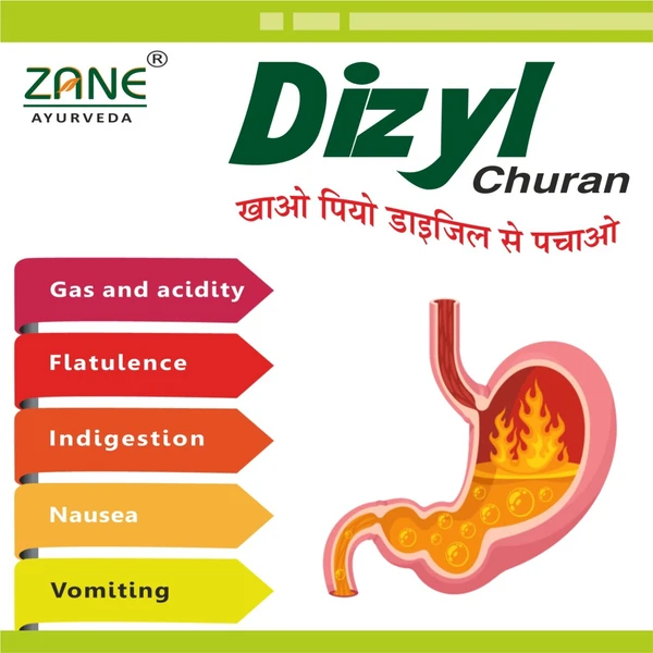 ZANE AYURVEDA DIZYL CHURAN 1*120 GRAM