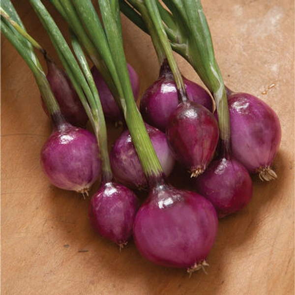 Onions - 3 kg
