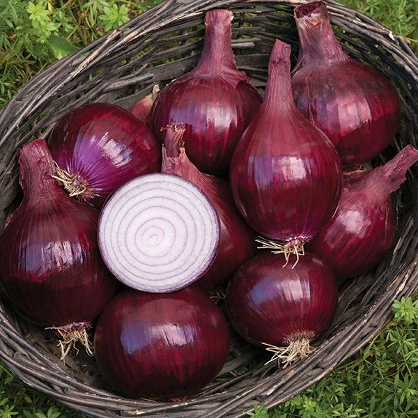 Onions - 3 kg