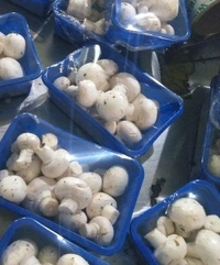 Masroom - 400gm
