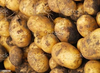 Aalu - 3kg