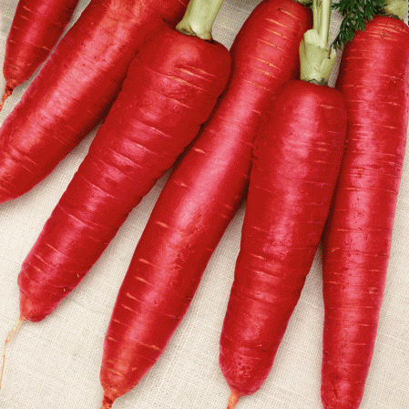 Carrot - 1kg, Yellow