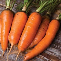 Carrot - 1kg, Yellow