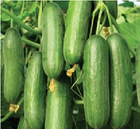 Khira - 1kg