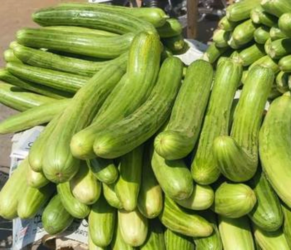 வெள்ளரி பிஞ்சு / vellari pinju  - ~500g