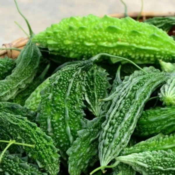 பாகற்காய் / Bitter Gourd - 1kg