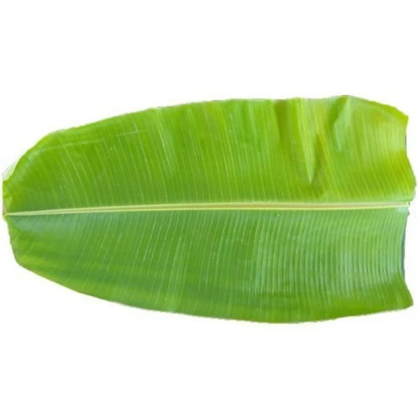 Double Side விருந்து வாழை இலை / Banana Leaf / Lunch Size - 1 Nos