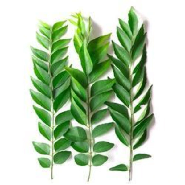 கறிவேப்பிலை / Curry Leaves - 70g