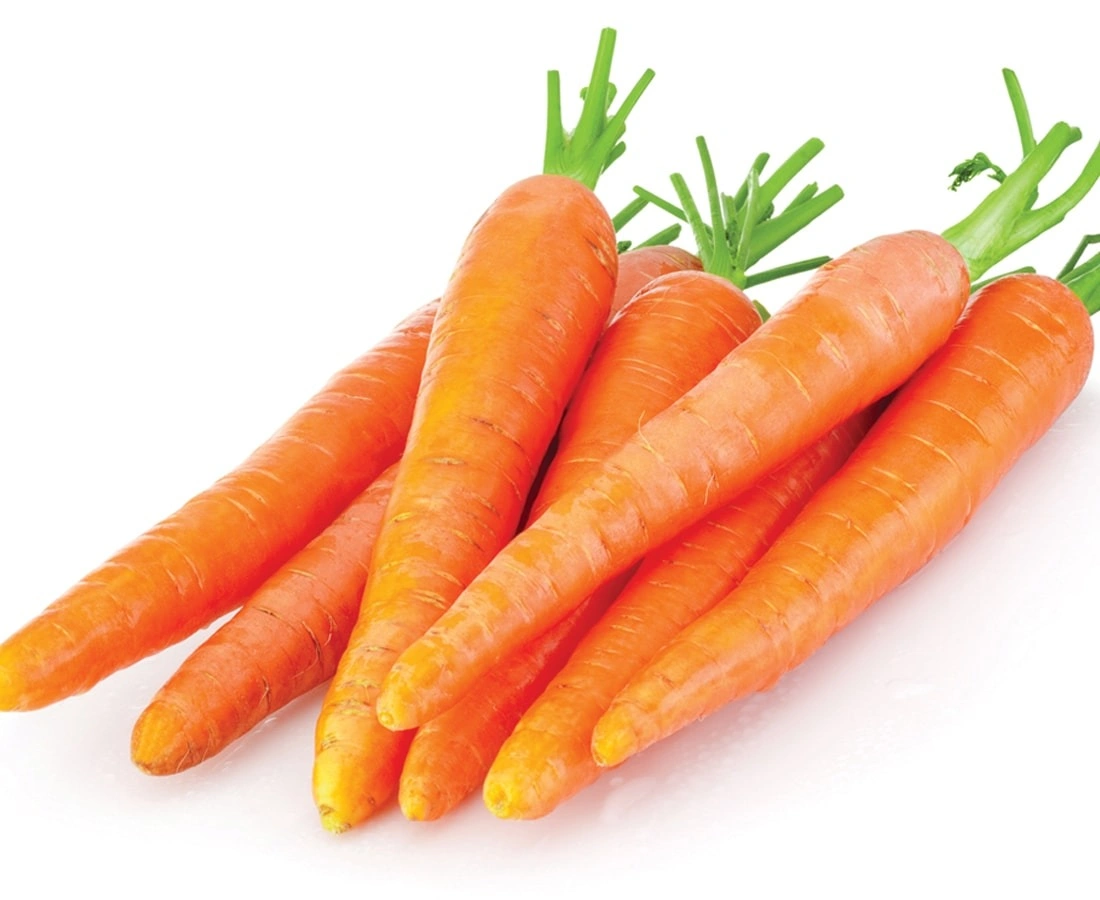 carrot