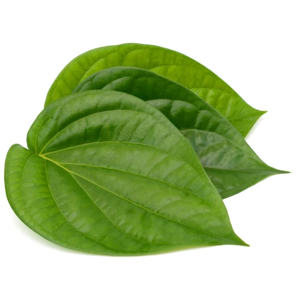 வெற்றிலை / Betel Leaves