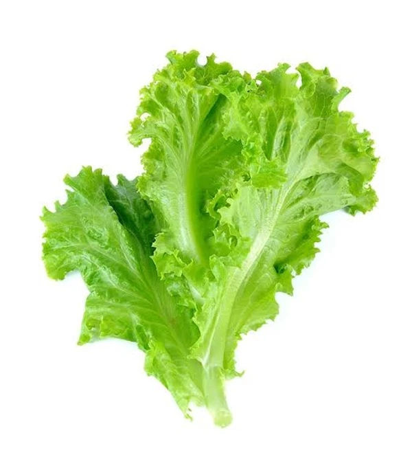 🟡 Lettuce - ~300g