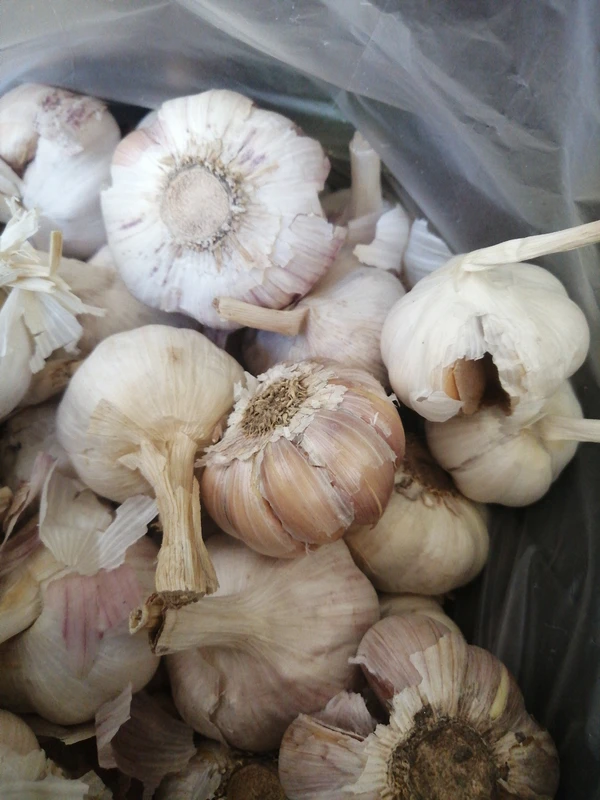 Garlic  - 250g