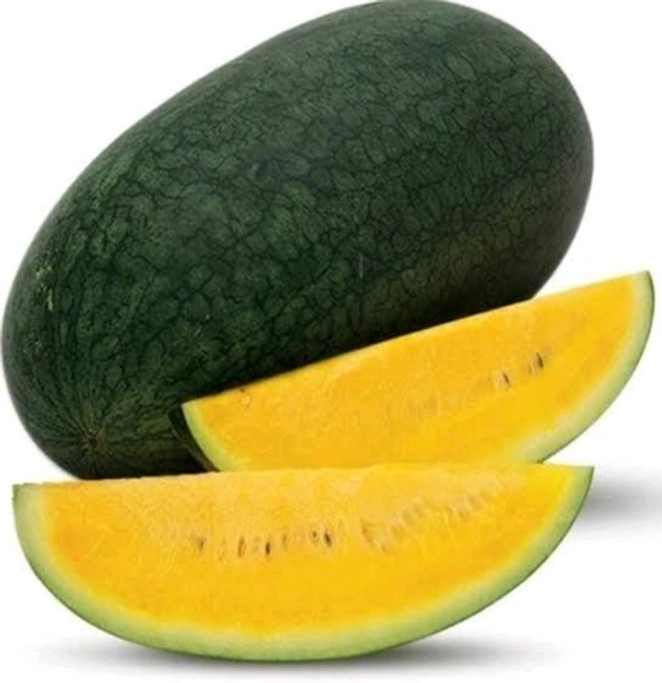 Watermelon  Yellow ~2kg
