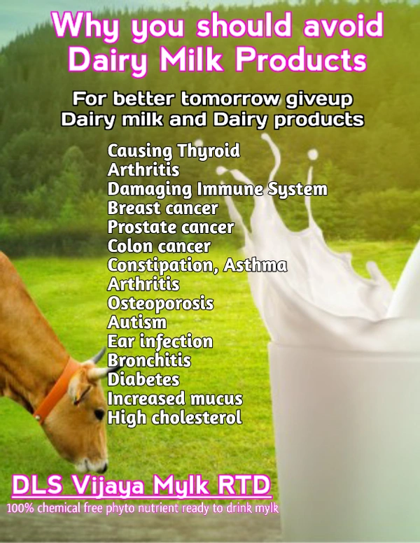 DLS Vijaya Mylk RTD - 200ML