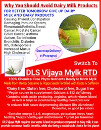 DLS Vijaya Mylk RTD - 500ML