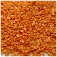 Masoor Dal  - 500g