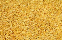 Khesari Dal  - 2.5kg