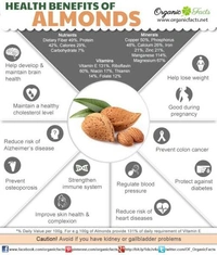 Almond (Badam) Natural Big Size  - 1kg 