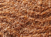 Shyamal Red Rice  - 1kg
