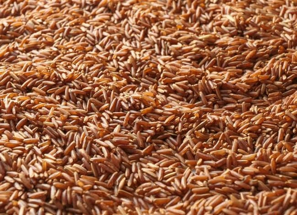 Shyamal Red Rice  - 1kg