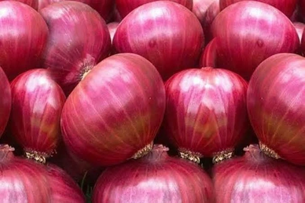 Onion (Pyaj ) - 5kg