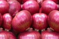 Onion (Pyaj ) - 2.5kg