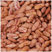 Rajma  - 500g