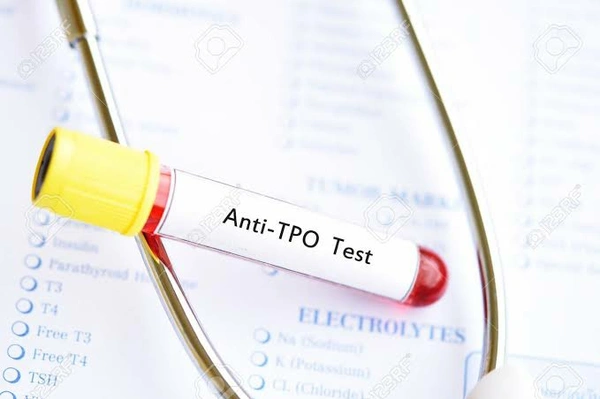 TPO Antibody (Thyroid Peroxidase)
