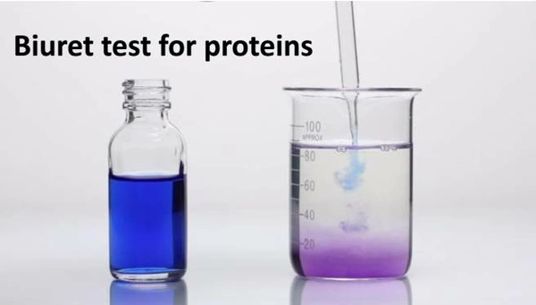 Proteins