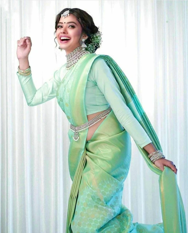 Elegant Partywear Banarasi Silk Saree