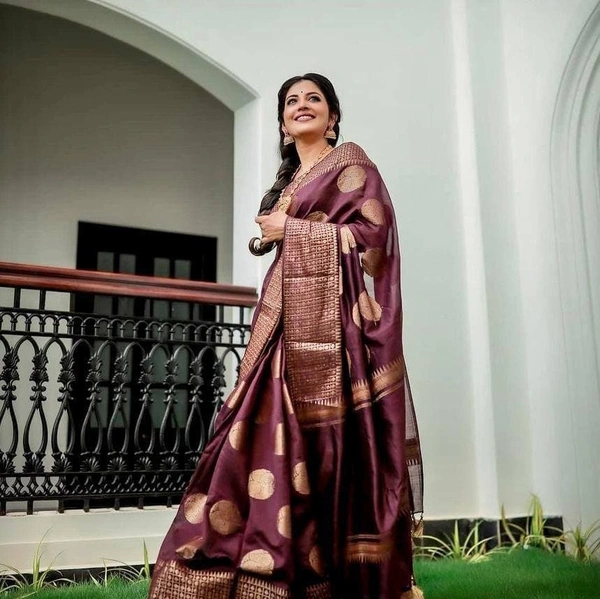 Nitya Handloom Silk Saree