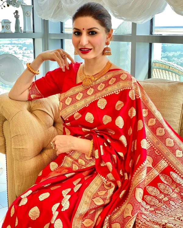 Vogue Partywear Pattu Saree 