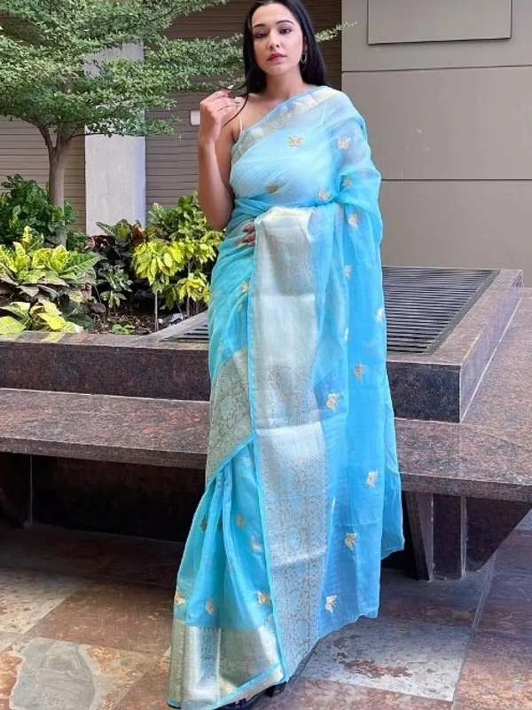Sky blue organza sequence embroidered designer party wear saree - sky blue