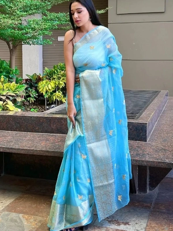 Sky blue organza sequence embroidered designer party wear saree - sky blue