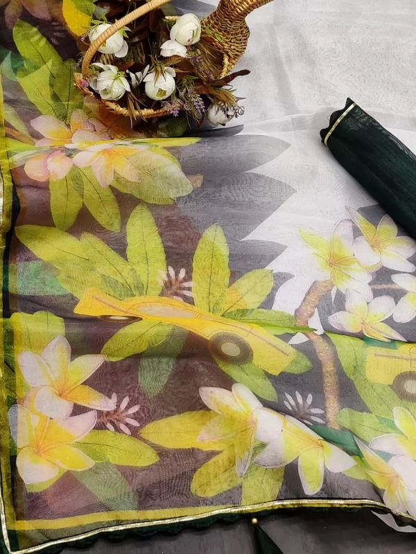 White soft silk organza digital printed work saree - white