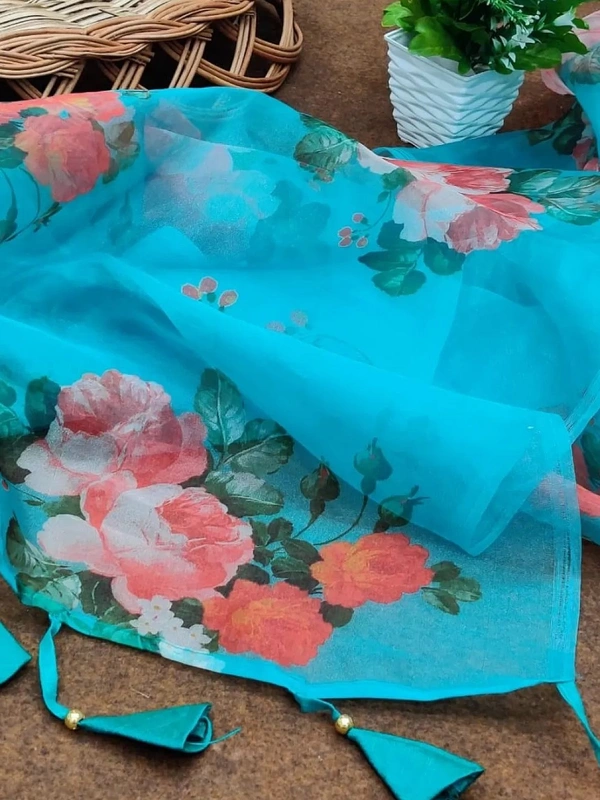Sky blue soft organza floral printed work saree - sky blue