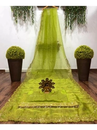 Greenish yellow organza sequence embroidered work saree - greenish yellow 