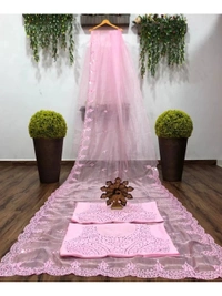 Baby pink organza real mirror work saree - baby pink