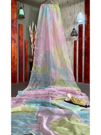 Multicolor organza print and sequence embroidered saree - Multicolour 