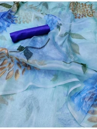 Sky blue printed organza saree
