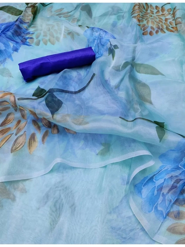 Sky blue printed organza saree