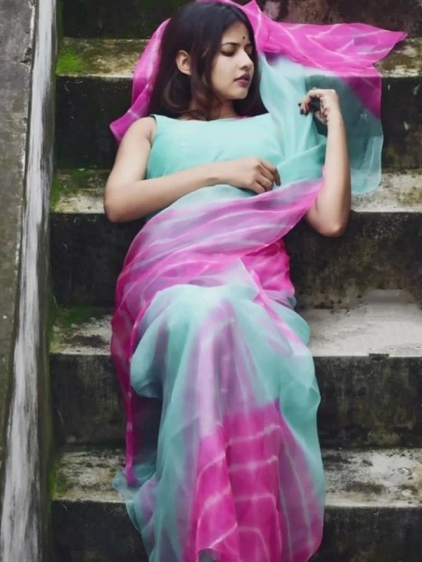 sky blue and pink multi colored heavy moss organza digital printed saree