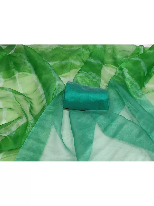 multicolor green heavy moss organza digital printed saree