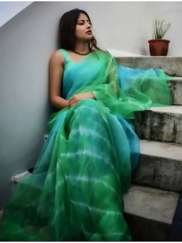 multicolor green heavy moss organza digital printed saree