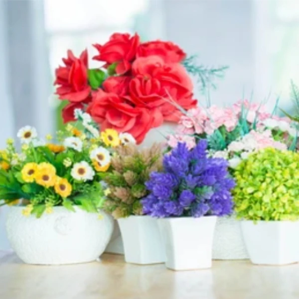 Flower Buke And Planters 