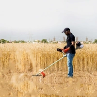 Balwan Bajaj Brush Cutter