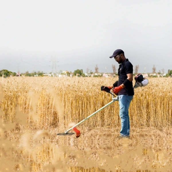 Balwan Bajaj Brush Cutter