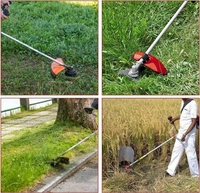 Balwan Bajaj Brush Cutter