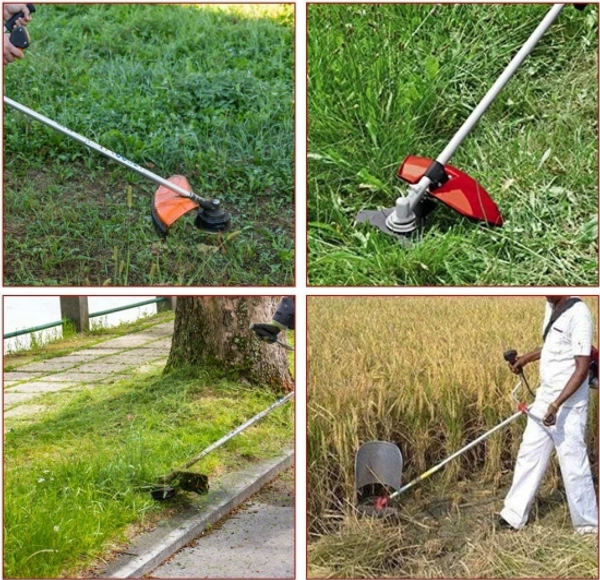 Balwan Bajaj Brush Cutter