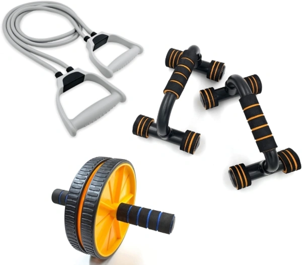 LIVOX Dual Wheel AB Rollar And Toning Tube